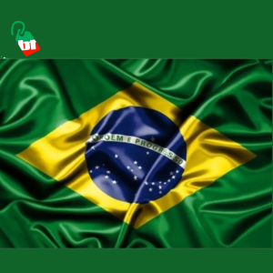Bandeira do Brasil em Cetim / Face Única